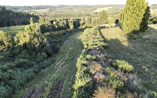 Parcela Camino de San Antonio, Ancud, Chiloé