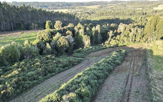 Parcela Camino de San Antonio, Ancud, Chiloé