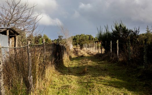 Sitio Butalcura, Ancud, Chiloé