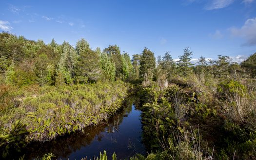 Sitio Butalcura, Ancud, Chiloé