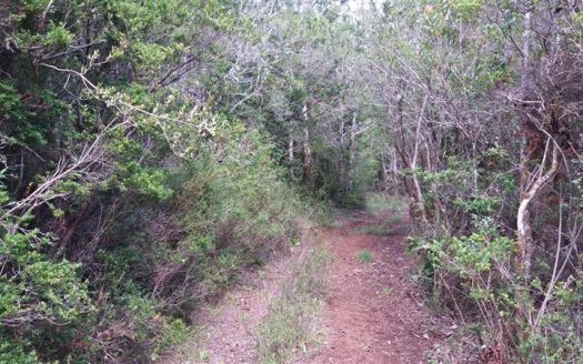 Sitio en Chiloé, Sector Pastahué
