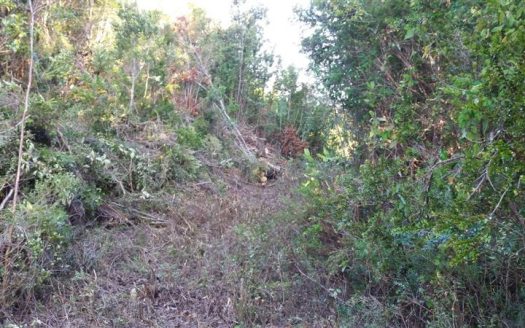 Sitio en Chiloé, Sector Pastahué